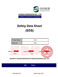 SDS报告英文样本2020版